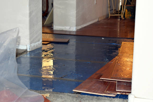 Professional Water Damage technician working in Deanville, TX